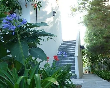 Apartment Alexandra